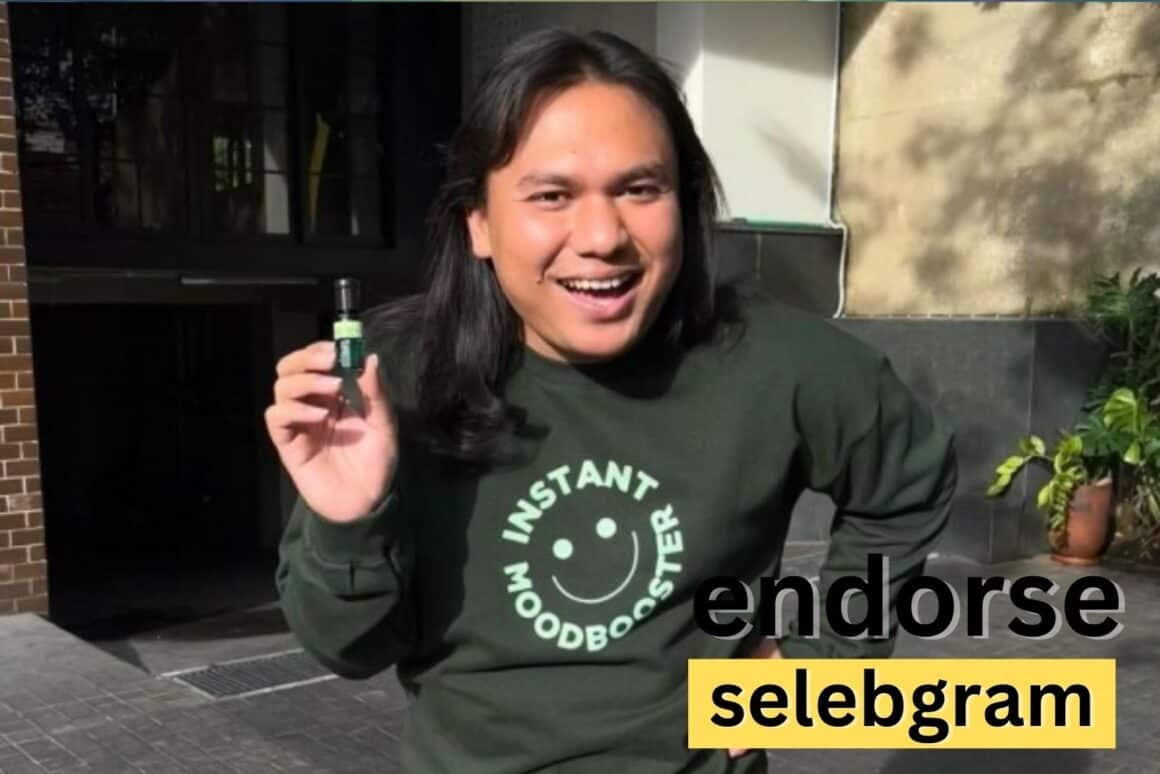 apa itu endorse